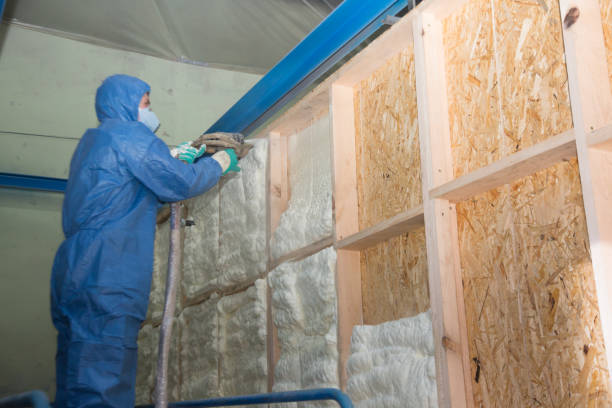 Best Affordable Insulation Services  in Rio Rancho, NM